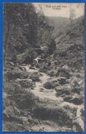 Deutschland; Harz; Ilsenfälle; 1925 Stempel Ilsenburg - Ilsenburg