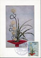 Delcampe - MONACO - N° 1036 SUR CARTE MAXIMUM OBL. MONACO-A LE 12/11/1975 - SUP - Maximumkarten (MC)