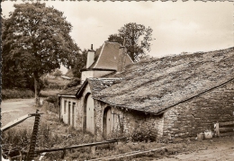 BERTRIX-LES PLUS VIEILLES PIERRES DE BURHAIMONT-architecture Rurale - Bertrix