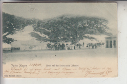 BRASILIEN - PORTO ALEGRE, Rast Auf Der Reise Nach Cidreira, 1908 - Porto Alegre