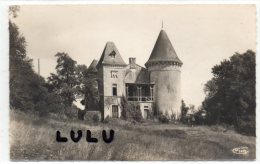 DEPT 79 ; Cerisay , Chateau D Appe-Voisin (cliché Moins Courant ) - Cerizay