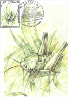 MONACO - Parc National Du Mercantour - Grande Sauterelle Verte -  1987 - Tampon à Date D'émission - Cartoline Maximum