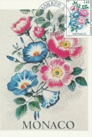 MONACO - Concours International De Bouquets 1981 - Tampon à Date D'émission - Cartoline Maximum
