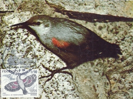 MONACO - Parc Nationale Du Mercantour Echelette 1982 - Tampon à Date D'émission - Cartoline Maximum