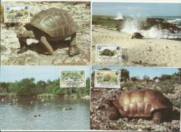 =SEYCHELLES MC*4 WWF - Seychelles (1976-...)