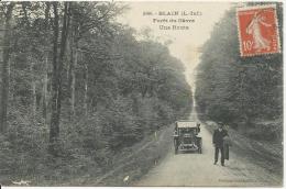 Blain - La Forêt Du Gâvre, Une Allée - 1910 - Blain