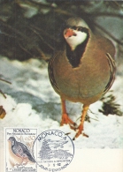MONACO - Parc National Du Mercantour Perdrix 1982 - Tampon à Date D'émission - Maximum Cards