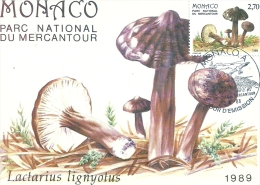 MONACO - Parc National Du Mercantour - Champignon - Lactarius Lignyotus - 1989 Tampon à Date D'émission - Cartoline Maximum