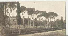 ITALY – VINTAGE POSTCARD – ROMA  “VILLA BORGHESE” NOT SHINING –SCRITTA A LAPIS PARTE POSTERIORE RE3636 N.P.G TAGLIATA A - Parchi & Giardini