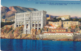 - MONACO - Le Musée Océanographique Et La Tête De Chien - - Oceanografisch Museum