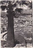MONACO - Le Port Et La Condamine - 1954 - La Condamine