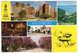 ZIMBABWE - SALISBURY / THEMATIC STAMP-RHINO - Zimbabwe