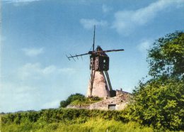 C17 / DEPT. 49 CPSM 1970 TOUARCE LE MOULIN - Thouarce