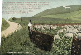 (275) Very Old - Carte Ancienne - UK - Westbury (white Horse Memorial) - Otros & Sin Clasificación