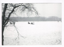 Aalter Winterpret Op De Kraenepoel - Aalter