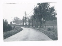 Aalter Het Hageland Ter Hoogte Van Het Melskensgoed - Aalter