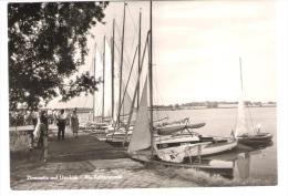 Deutschland - Zinnowitz Auf Usedom - Am Achterwasser - Segelboote - Sailing Boat - Zinnowitz