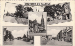 SOUVENIR DE PALISEUL  BELLE CPA MULTIVUES 9x14 Circulée   Bon état Voir Scans - Paliseul