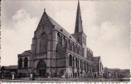 Herenthals  H. Waldetrudiskerk.  FOTOKAART  1956 - Herentals