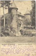 Groot-Bijgaard (Grand-Bigard) : Château (1921) - Dilbeek