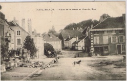 FAYL BILLOT Place De La Barre Et Grande Rue (Pharmacie, Tonneau) - Fayl-Billot