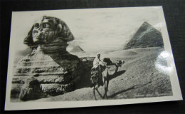 EGITTO SFINGE E PIRAMIDE - Sphinx