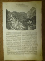 20 Mars.1834  MAGASIN UNIVERSEL: Mémoire Fantastique De L'aveugle ALICK;Tombeau Du Christ;Les Tipules - 1800 - 1849