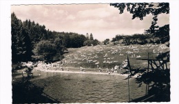 D4181   BEERFELDEN: Schwimmbad( Swimmingpool - Piscine) - Odenwald