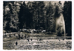 D4188   WACHENHEIM : Campingplatz Mit Schwimmbad ( Swimmingpool, Piscine) - Bad Dürkheim