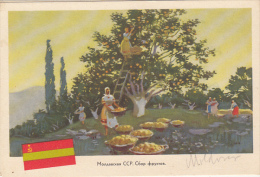 CPA APPLE ORCHARD - Moldavië