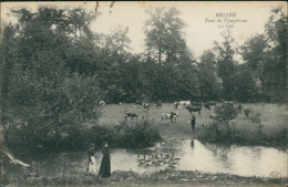 45 BRIARE / Parc De Vaugereau, Le Gué / - Briare