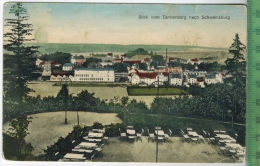 Blick Vom Tannenberg Nach Schweinsburg 1916, Verlag: Carl Groitzsch, Crimmitschau, FELD- Postkarte Ohne Frankatur - Werdau