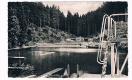 D4234    ALTENAU : Waldschwimmbad - Schwimmbad ( Swimmingpool, Piscine) - Altenau