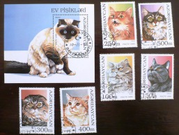 AZERBAIJAN CHATS  Serie Complete Oblitérée + Bloc Feuillet Emis En 1997. Satisfaction Assurée - Domestic Cats