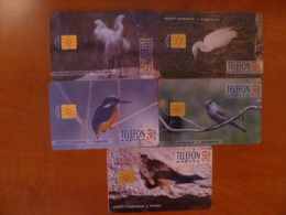 Hungary: Birds Complett Series, 5 Cards - Passereaux