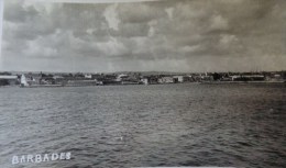 BARBADES CARTE PHOTO N°2  VUE DE LA COTE PRISE DU PAQUEBOT FLANDRE - Barbados (Barbuda)