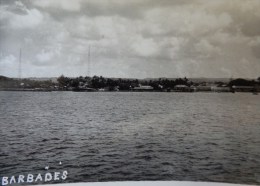 BARBADES CARTE PHOTO N°3  VUE DE LA COTE PRISE DU PAQUEBOT FLANDRE - Barbados