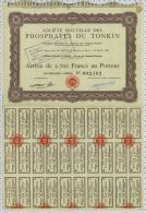 Phosphates Du Tonkin - Asie
