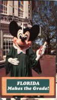 (201) Disney - Florida - Mickey Mouse - Disneyworld