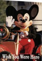 (201) Disney - Mickey Mouse - Disneyworld