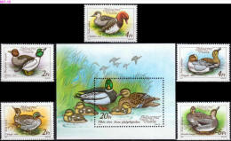 HUNGARY, 1988,Ducks, Set Of 5 Stanps + Souvenir Sheet, MNH (**), Sc/Mi 3136-3141 3972A-76A,Bl-199A - Neufs