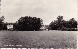 Ossendrecht  -  Sportpark;  FOTOKAART (uit Plakboek) - Sonstige & Ohne Zuordnung