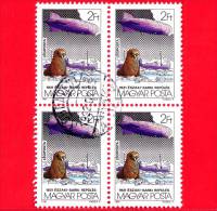 UNGHERIA - MAGYAR - 1981 - Graf Zeppelin Vola Sull´Artico - Dirigibile - Foca - 2 - P.a.  - Quartina - Used Stamps