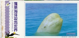 DOLPHIN Dauphin Delfin Beluga White Whale Postal Stationery Mint Entier Postal CHINA Ocean Aquarium Of Penglai - Dolphins