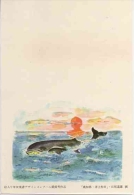 WHALE Baleine  Wal Entier Postal Stationery Echocard Postmarked JAPAN - Walvissen