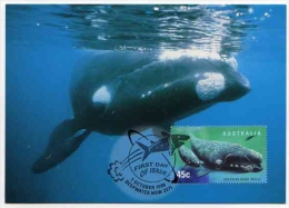 WHALE Baleine Wal Entier Postal Stationery New Zealand Postmarked Deepwater Nsw 1 October 1998 - Baleines