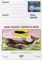 Sperm WHALE  Cachalot Baleine Wal Entier Postal Stationery Mint ROUMANIE - Baleines