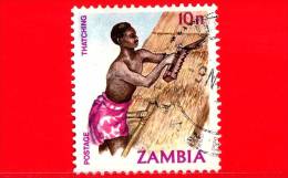 ZAMBIA  - 1981 - Beni Culturali - Paglia - Thatching - 10 - Zambia (1965-...)