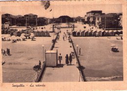 SENIGALLIA - Senigallia