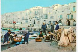 TRANI (BA) - PORTO: SCARICO DEL PESCATO   - F/G - V:1969 - ANIMATA - Trani